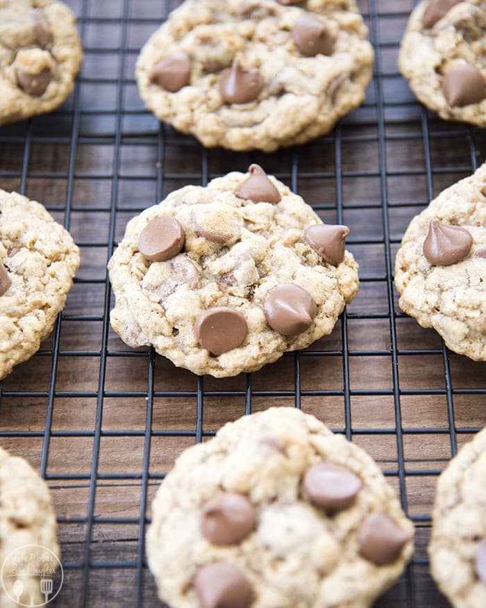 Oatmeal chocolate chip cookies on a cooling rack.