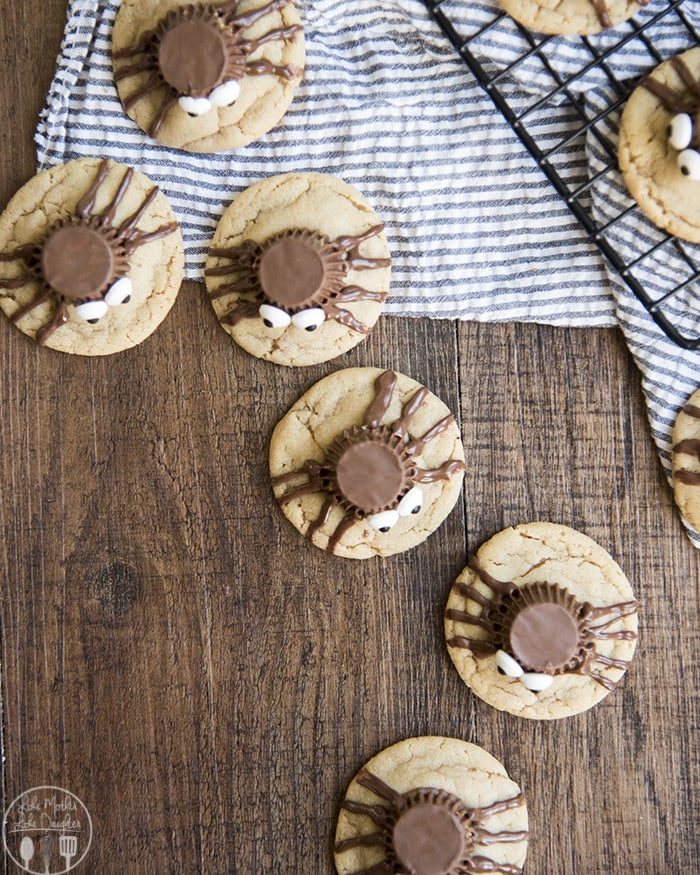 Chocolate Peanut Butter Spider Cookies