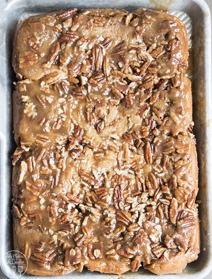 Maple Pecan Sticky Buns