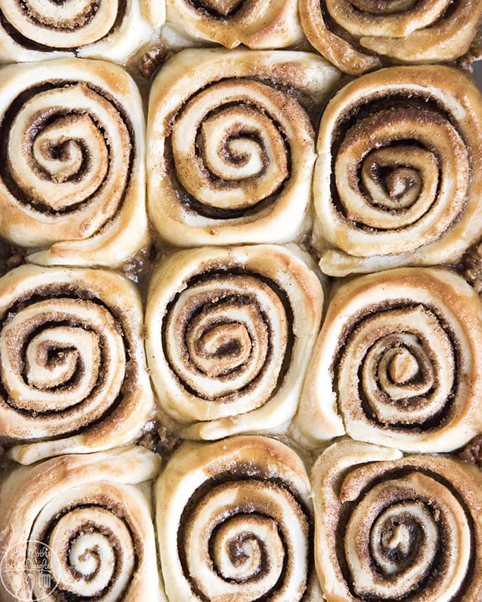 Caramel Pecan Sticky Buns