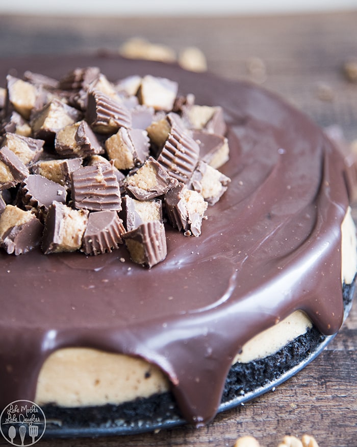 Peanut Butter Cheesecake with chocolate ganache