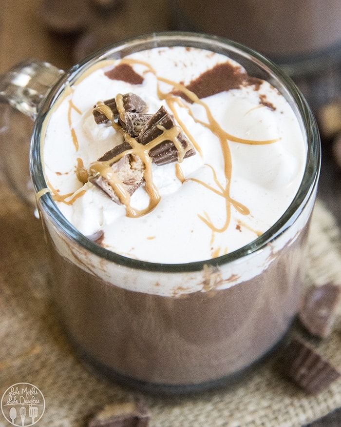 A mug of chocolate peanut butter hot chocolate topped with whipped cream and chopped peanut butter cups.