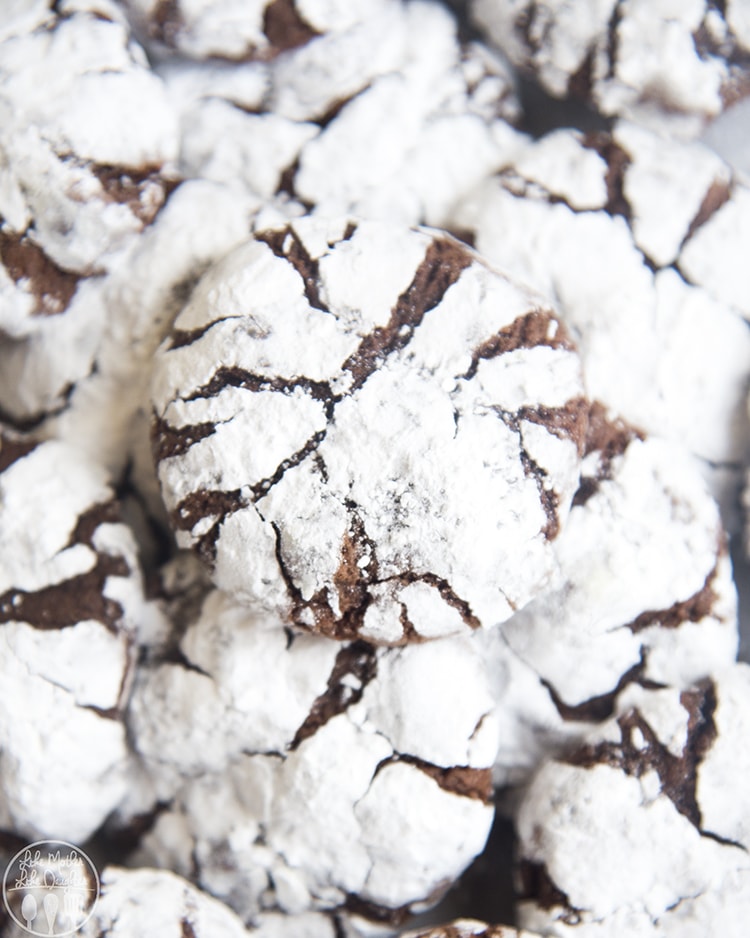 Above view of chocolate crinkle cookies.