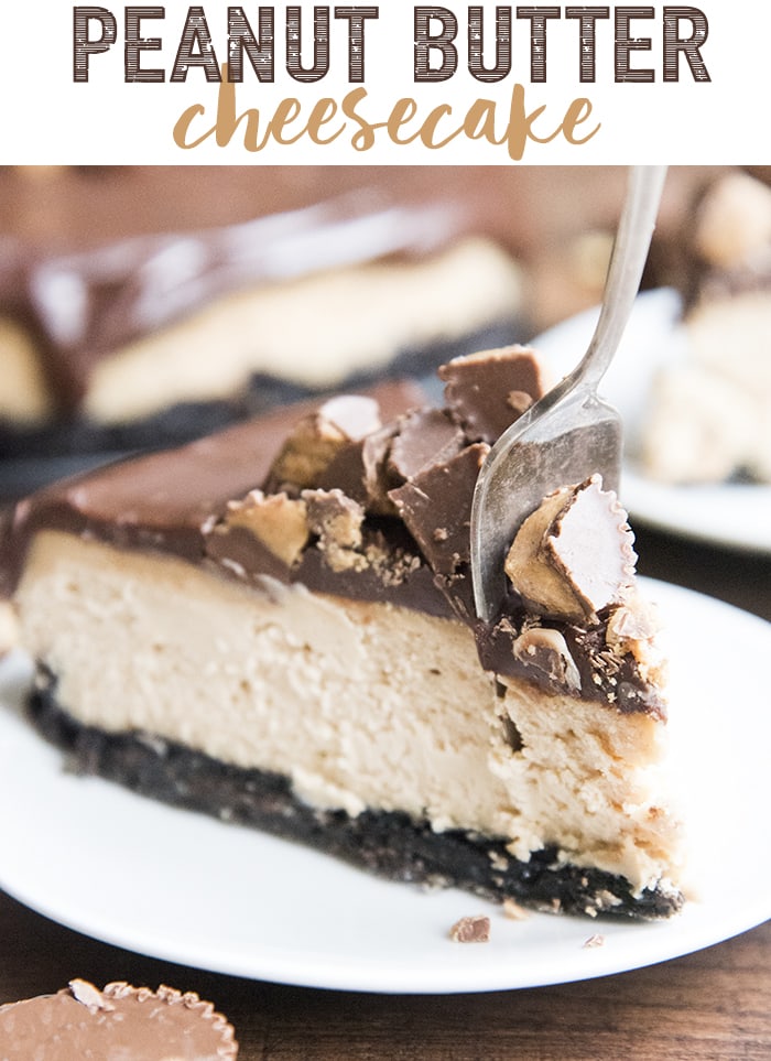 A piece of peanut butter cheesecake with an oreo crust, and chocolate ganache on top.