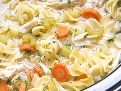 Slow Cooker Chicken Noodle Soup - The Slow Roasted Italian