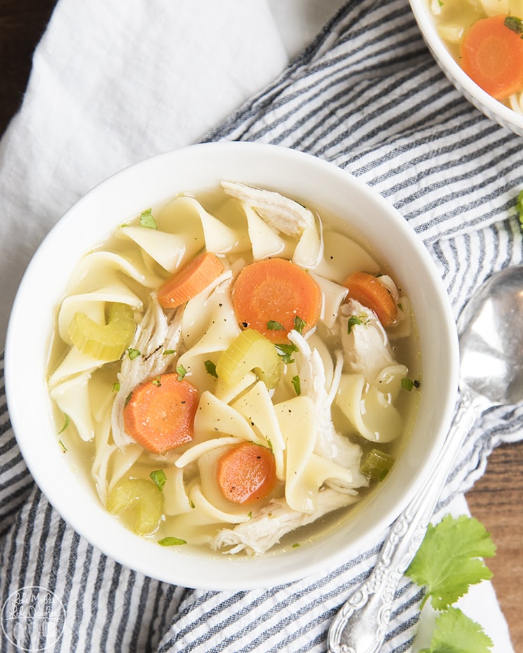 Homemade Chicken noodle soup recipe crock pot - perfect for a cold day. 