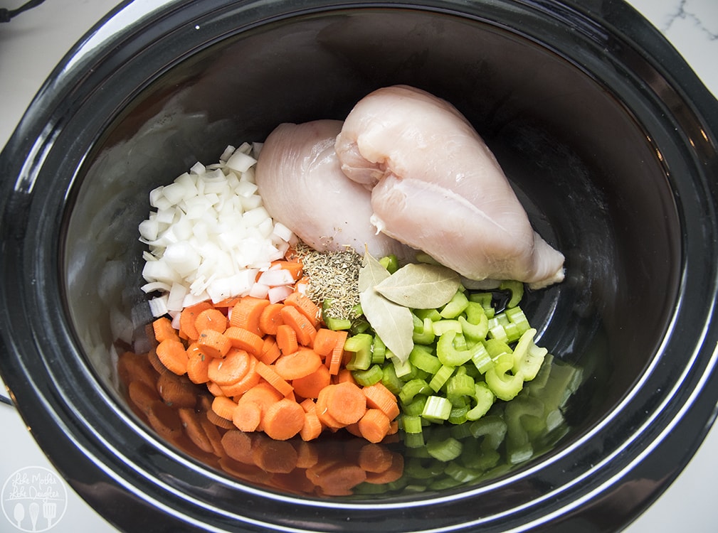 Chicken noodle soup in the slow cooker