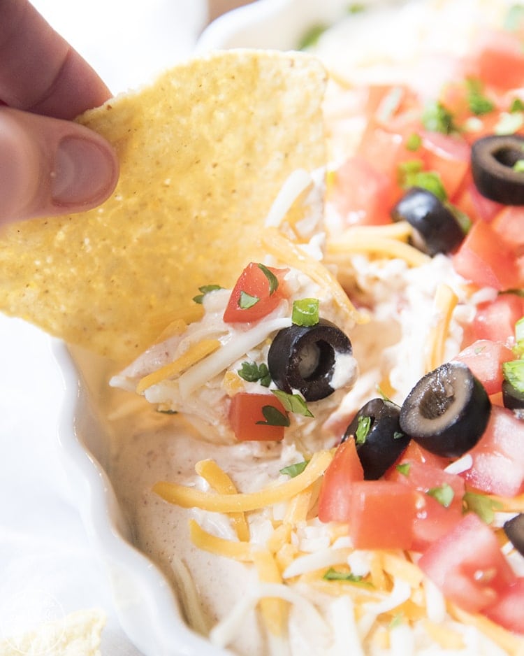 A tortilla chip dipping into a dip in a bowl covered with cheese, diced tomatoes, olives, and green onions.