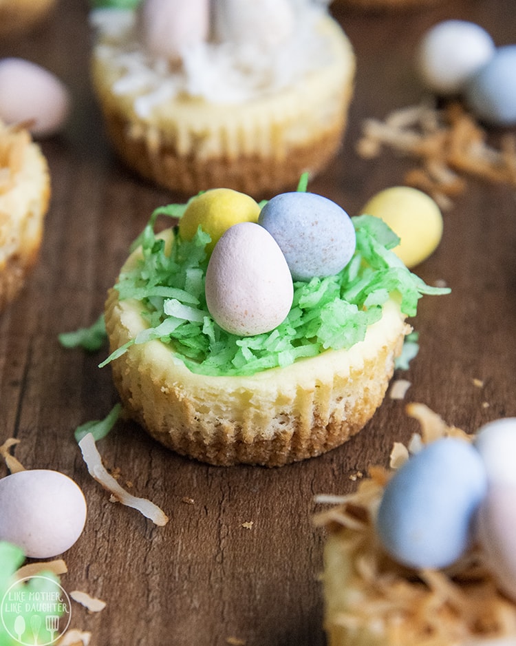 Mini Cheesecakes with coconut and chocolate on top