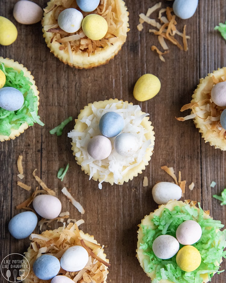 Easter Mini Cheesecakes