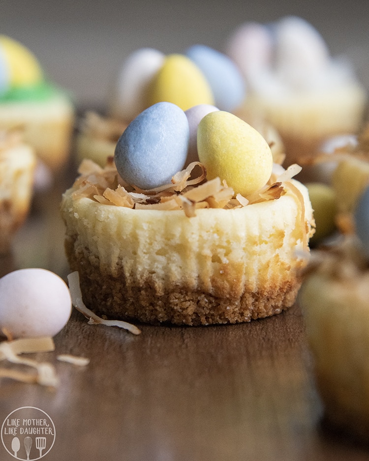 Mini Cheesecakes topped to look like a bird nest