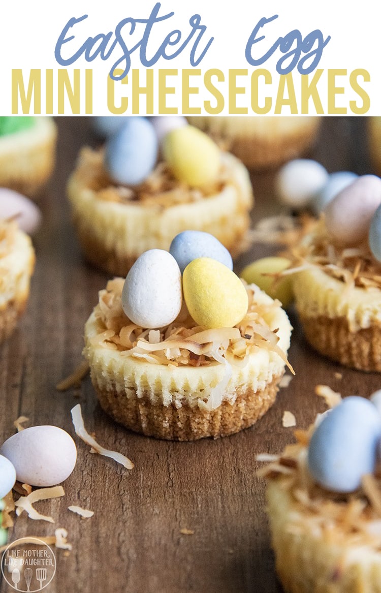 Mini cheesecakes topped with toasted coconut and three chocolate candy eggs.