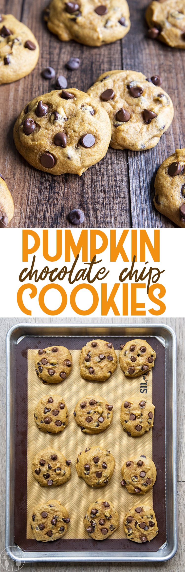 These pumpkin chocolate chip cookies are are soft, moist, and loaded with the perfect pumpkin flavor. They're the best fall cookies.