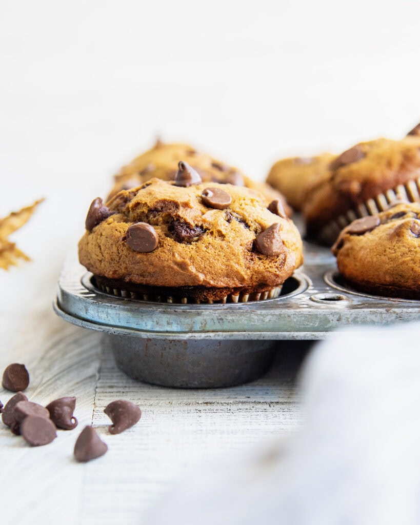 A side view of a pumpkin chocolate chip muffin with a tall bakery style dome.