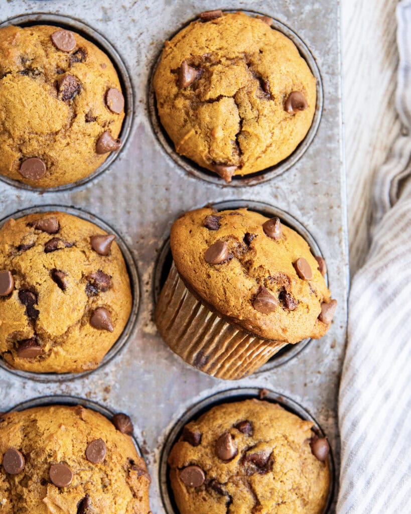 An above view of pumpkin chocolate chip muffins in a muffin tin.