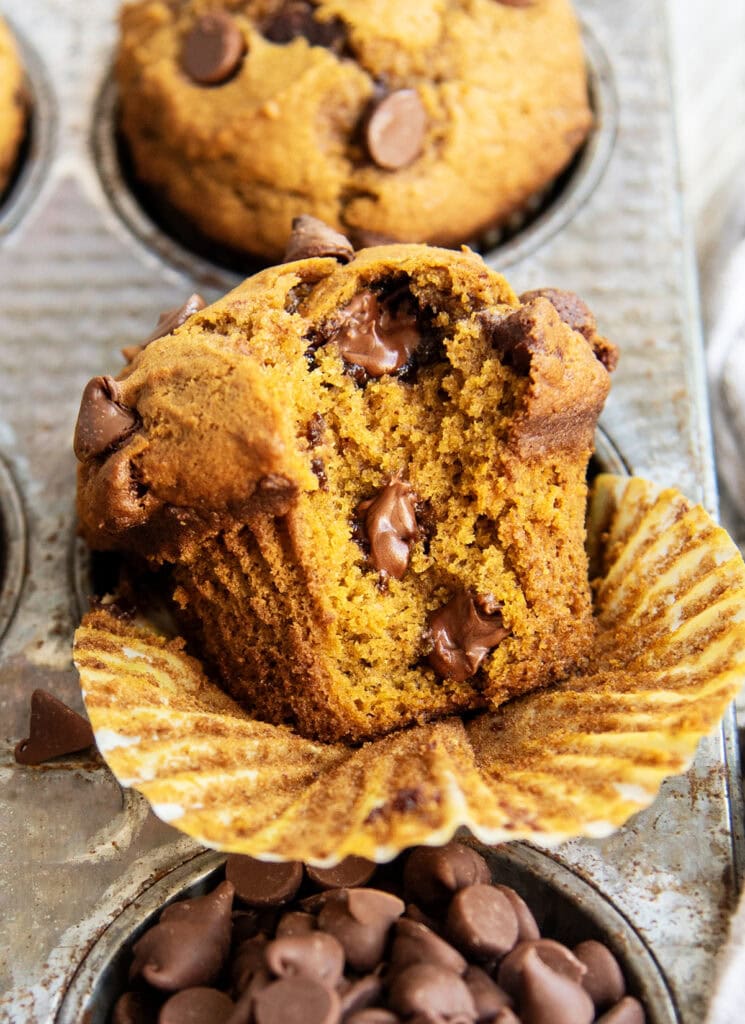 A bakery style pumpkin chocolate chip muffin with a bite out of it, set on its side in a muffin pan.