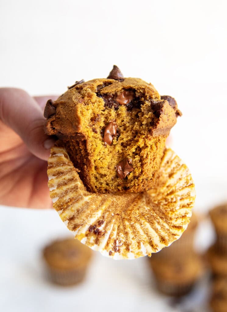 A hand holding a pumpkin chocolate chip muffin with a bite out of it.