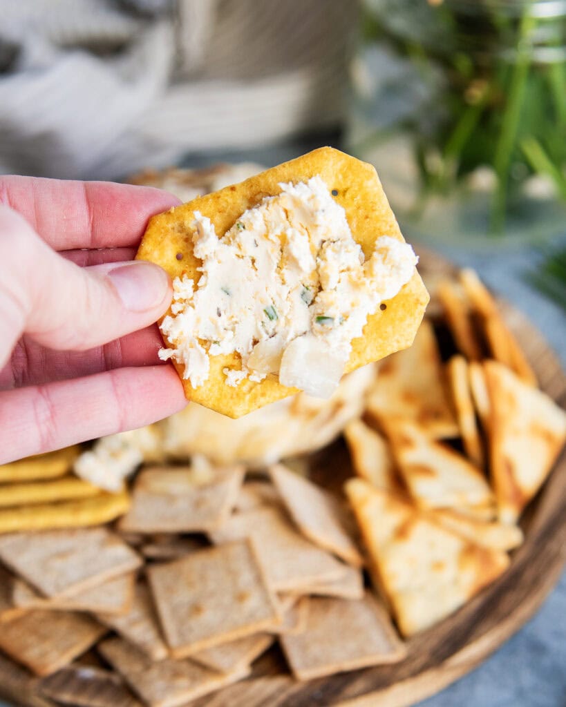 A hand holding a cracker with cheese ball mixture spread on it.