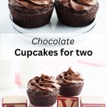 A collage of two photos of two chocolate cupcakes with a text block between them.