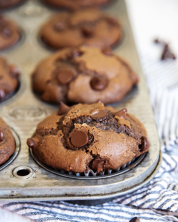 These moist, rich, and delicious double chocolate muffins are bursting with chocolate in every bite!