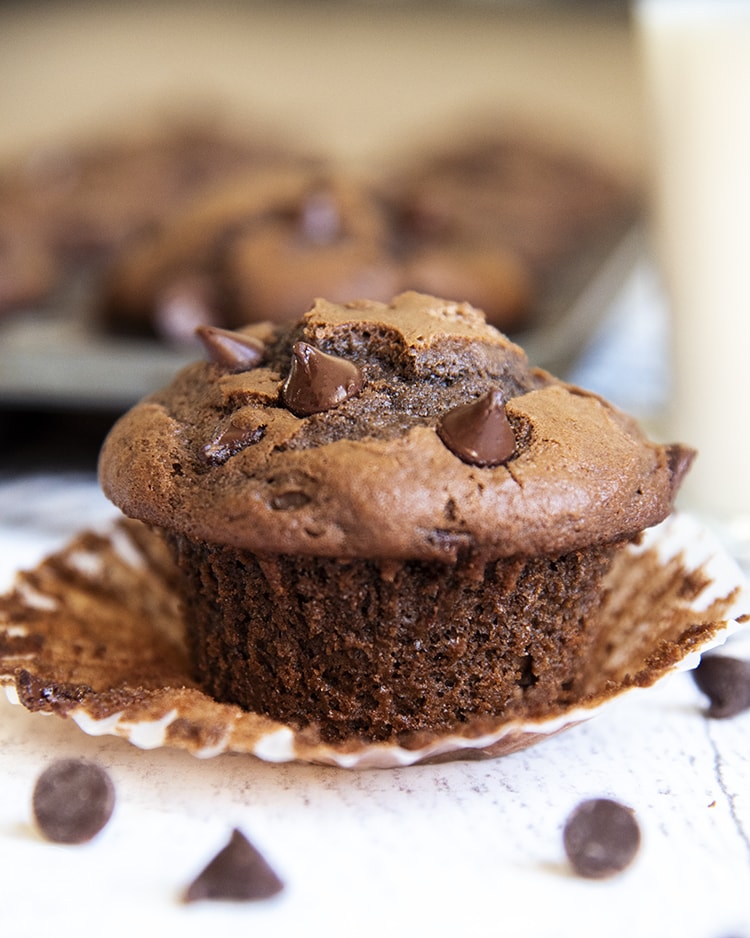 A moist, crumby chocolate muffin