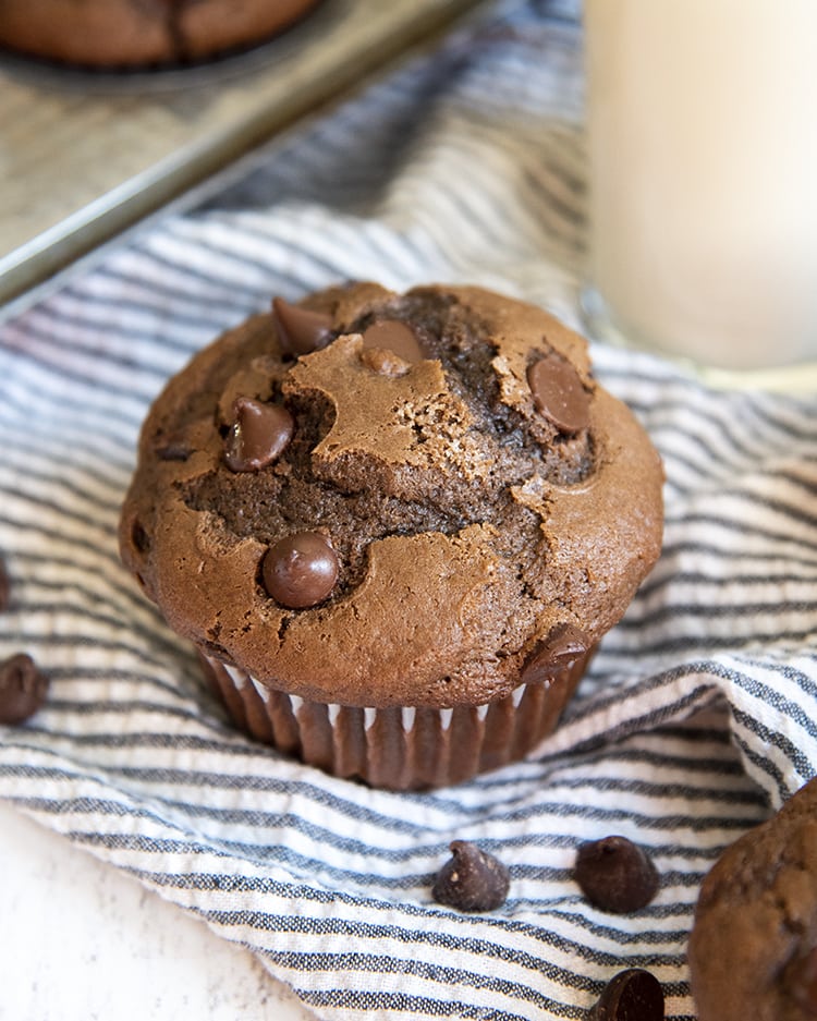 The best Chocolate Muffin Recipe