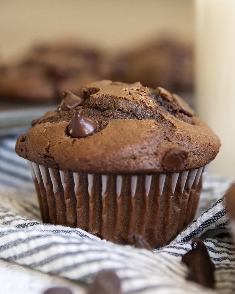 Close up image of a double chocolate muffin in a wrapper.