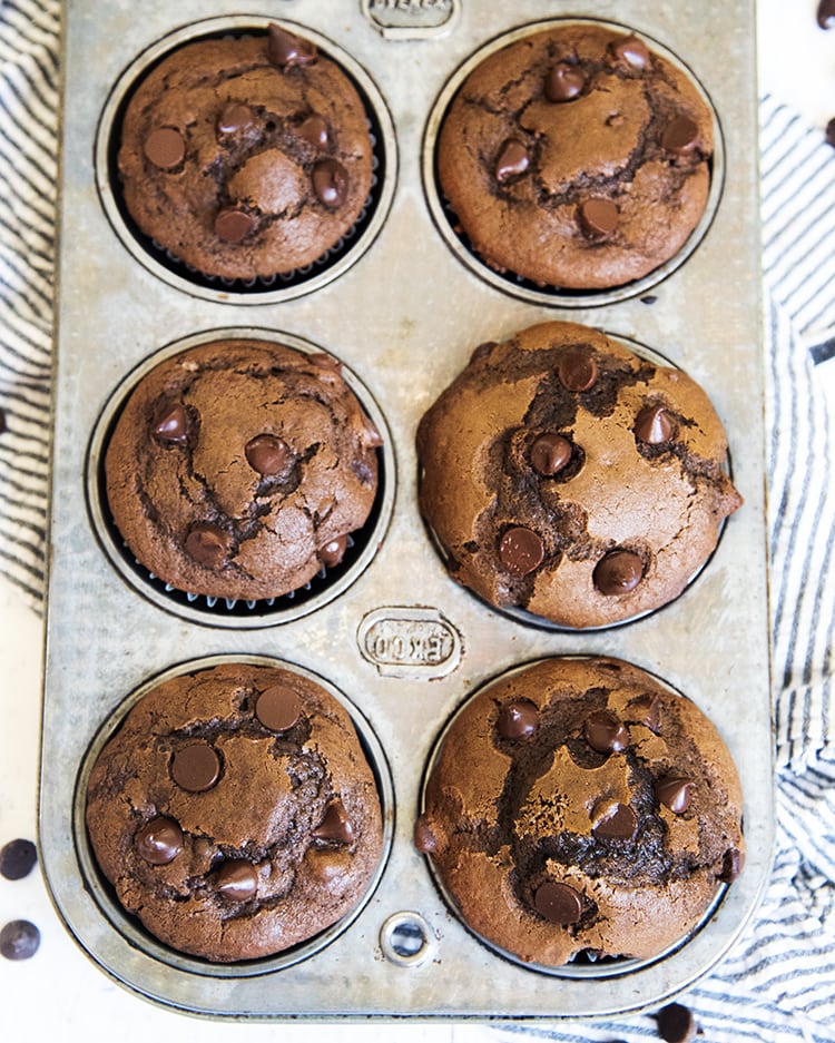 Double Chocolate Muffin recipe