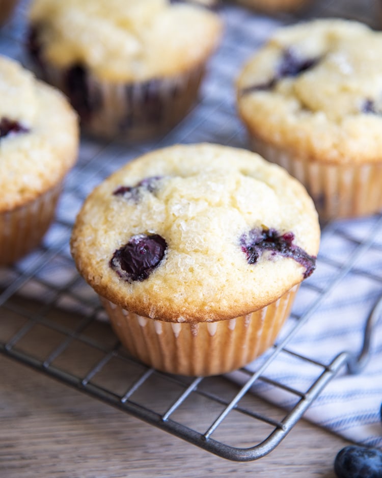 Close up shot of blueberry muffins on a cooling rack with blueberries visible.