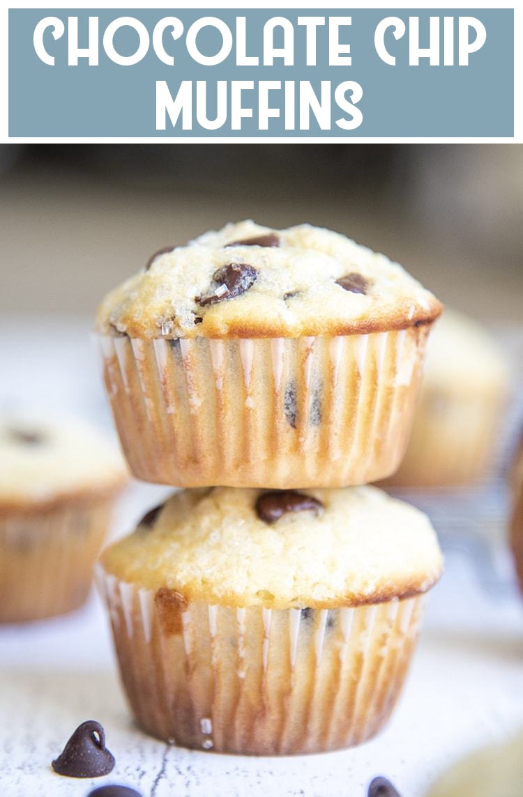 Two chocolate chip muffins stacked on top of each other.