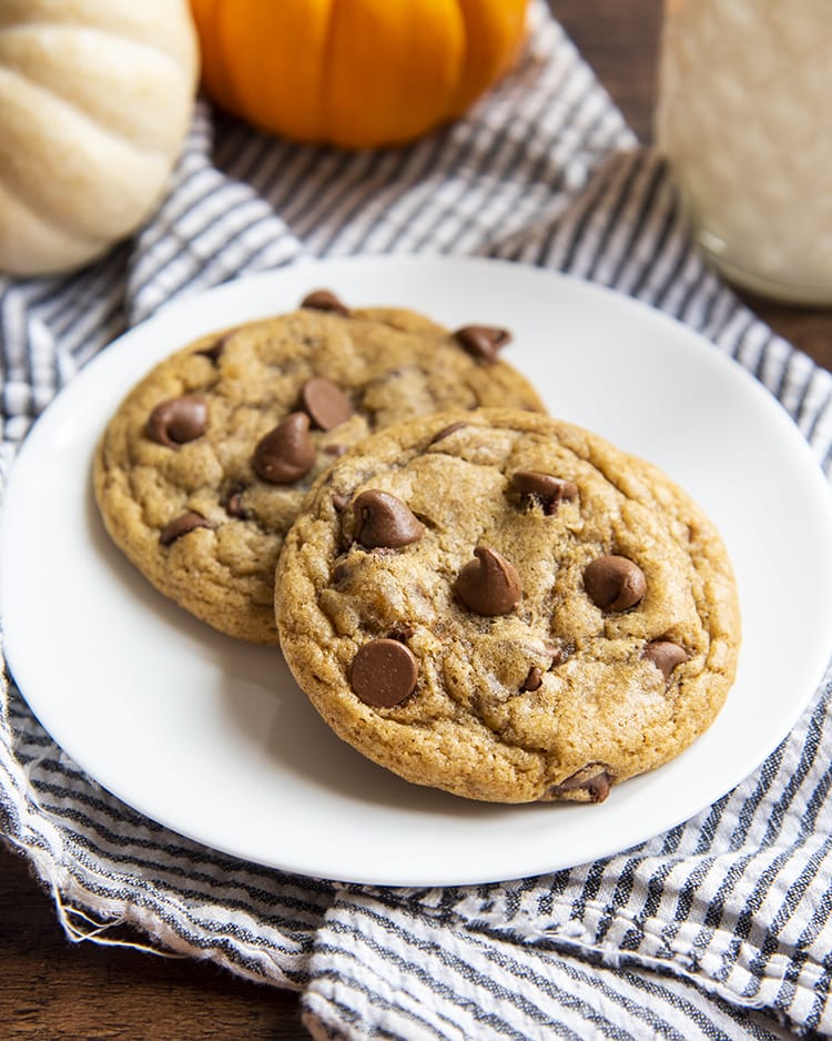 Two pumpkin chocolate chip cookies on a plate.