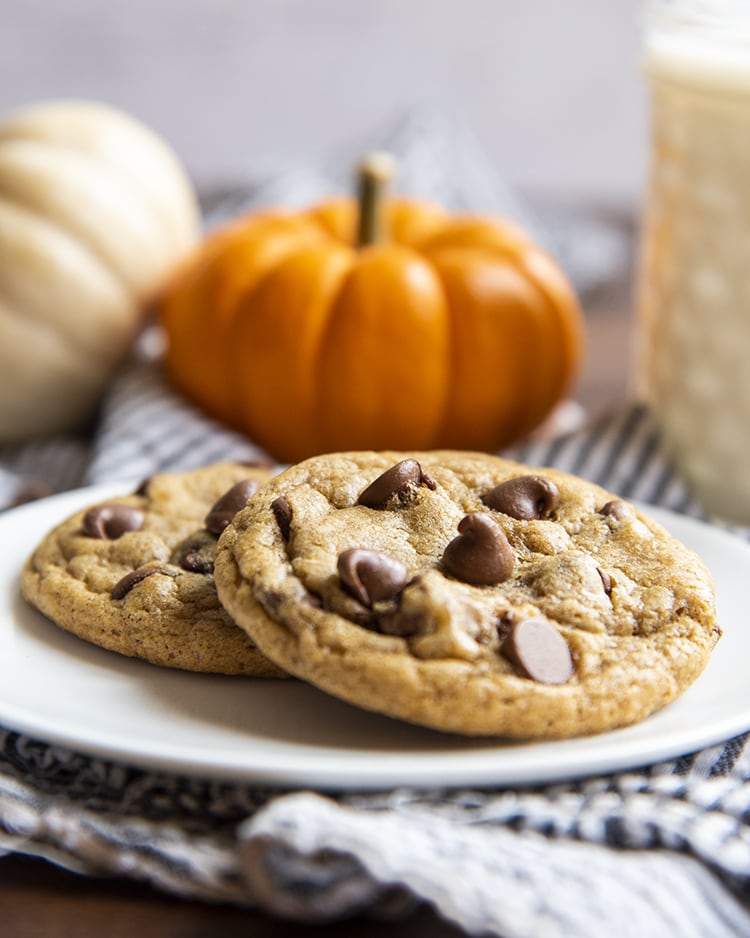 Two chewy pumpkin chocolate chip cookies on a white plate with small pumpkins behind.