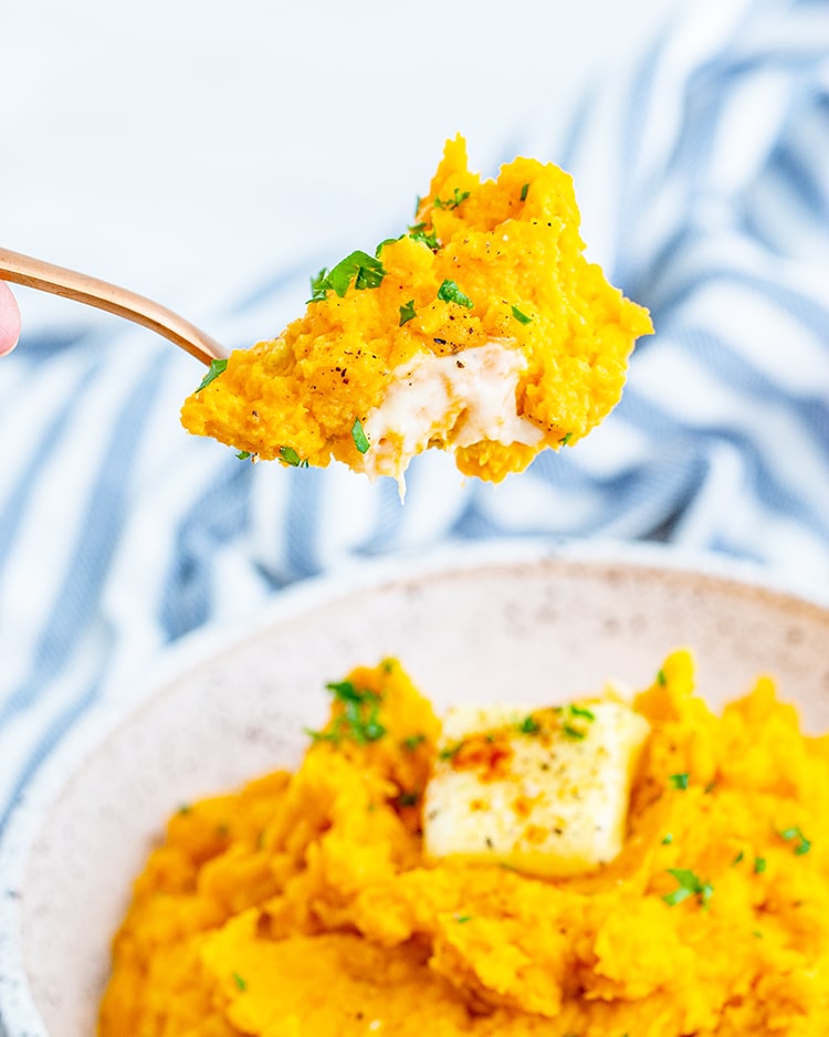 A spoonful of mashed sweet potatoes above the bowl.