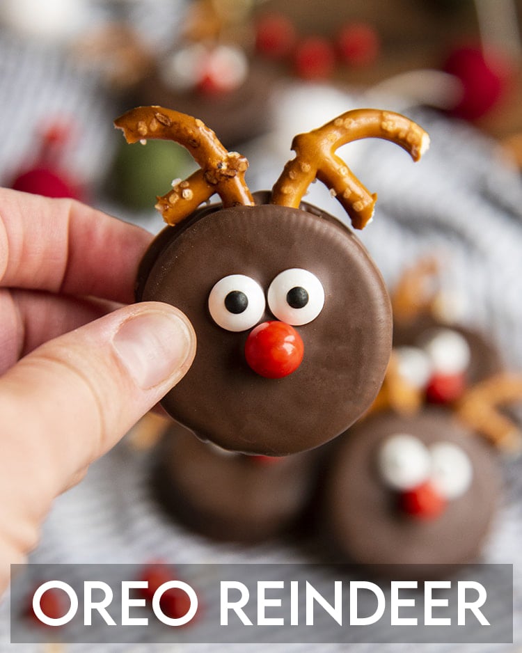 An Oreo decorated to look like a cute reindeer with chocolate, candy eyes, and pretzels. 