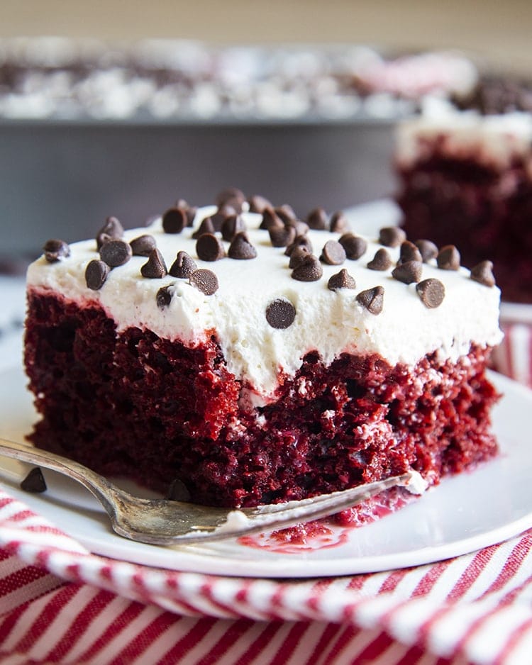 A square piece of red cake topped with a cream cheese frosting topped with mini chocolate chips.