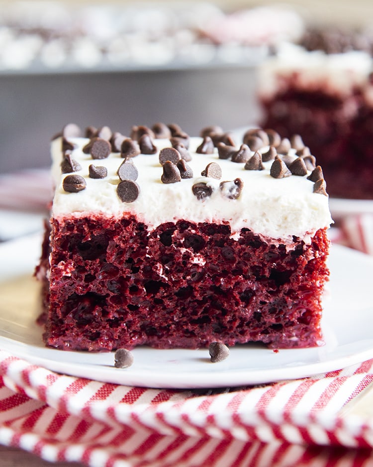 A square piece of red cake topped with a white cream cheese frosting, and topped with mini chocolate chips. The cake looks very moist, and airy.