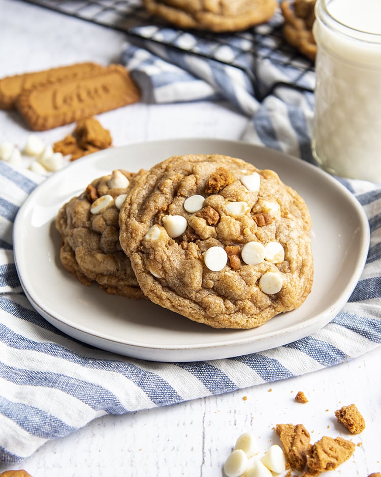 A plate of two giant cookies loaded with Biscoff cookie pieces and white chocolate chips.