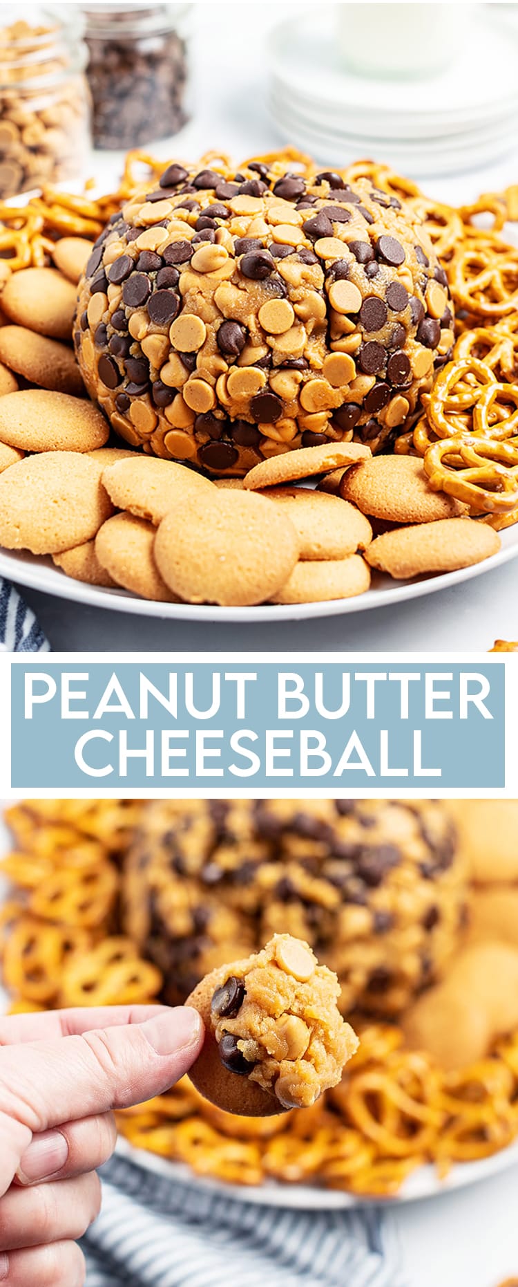 A peanut butter cheese ball wrapped in chocolate chips and peanut butter chips on a plate