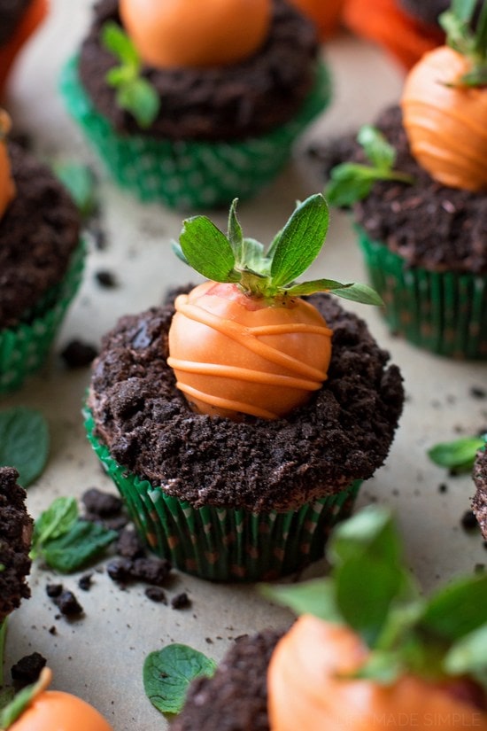 Chocolate cupcakes topped with chocolate frosting, and oreo crumbs to look like dirt, with an orange chocolate covered strawberry to look like a carrot growing.