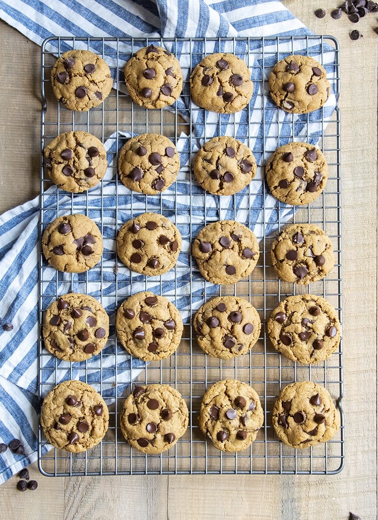 An overhead photo of 20 peanut butter chocolate chip cookies on a cooling rack, lined up in rows of 4, they're each topped with chocolate chips.