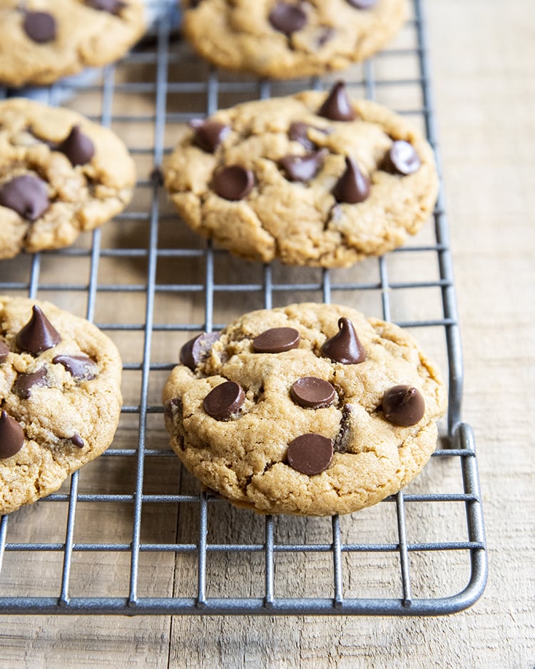 Rows of cookies on a cooling rack, with chocolate chips all over the top.