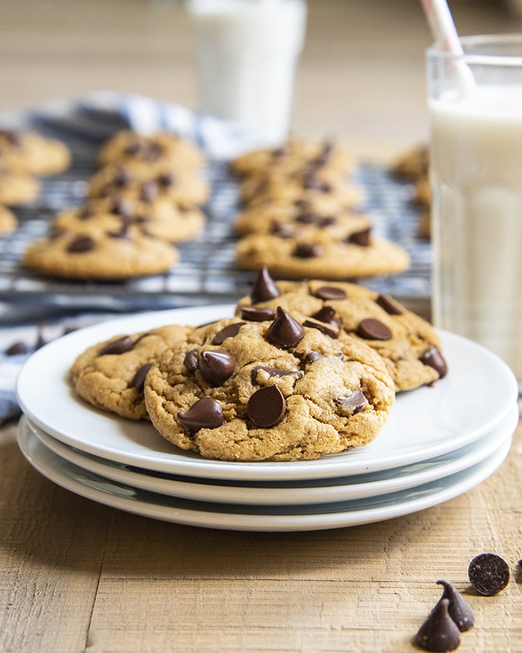 A plate of peanut butter chocolate chip cookies, with a glass of milk behind it.