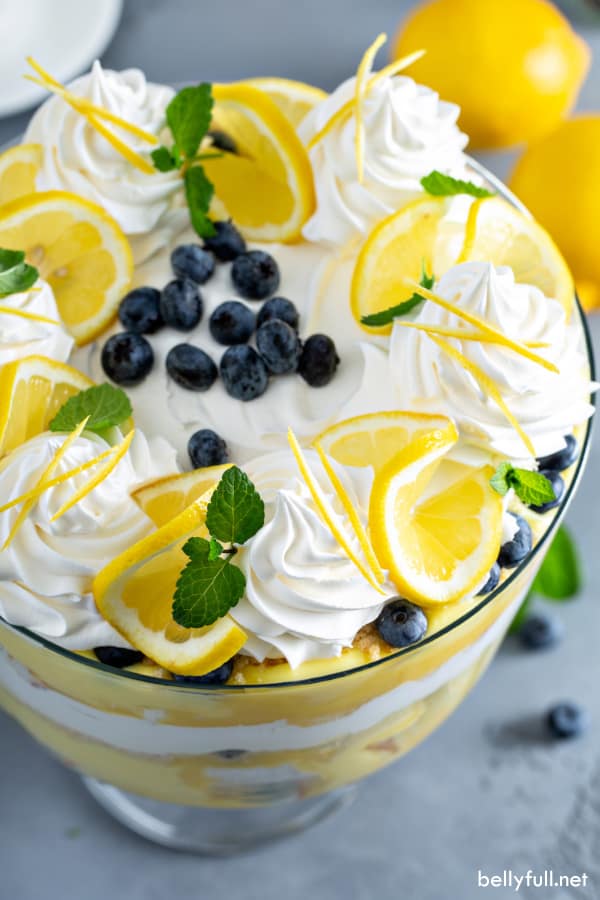 A top angle of a trifle dish stuffed full, and on the top there are swirls of whipped cream, lemon slices, mint leaves, and fresh blueberries in the middle.