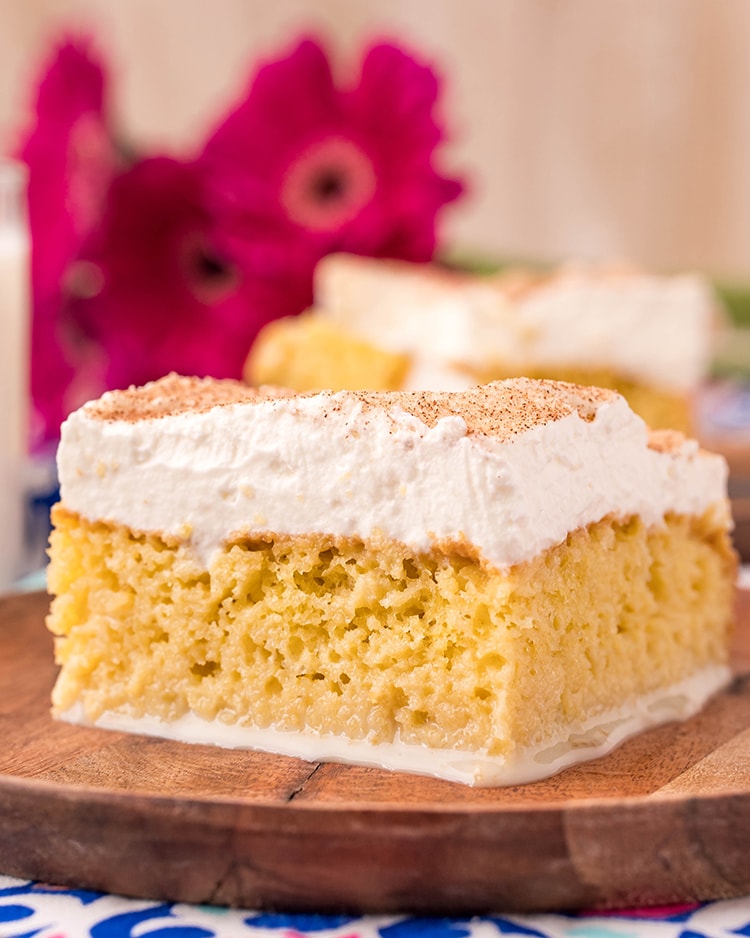 A side shot of a piece of tres leches cake, so you can see all the crumb of the cake, and the thick layer of whipped cream.