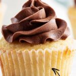 A yellow cupcake topped with chocolate fudge frosting.