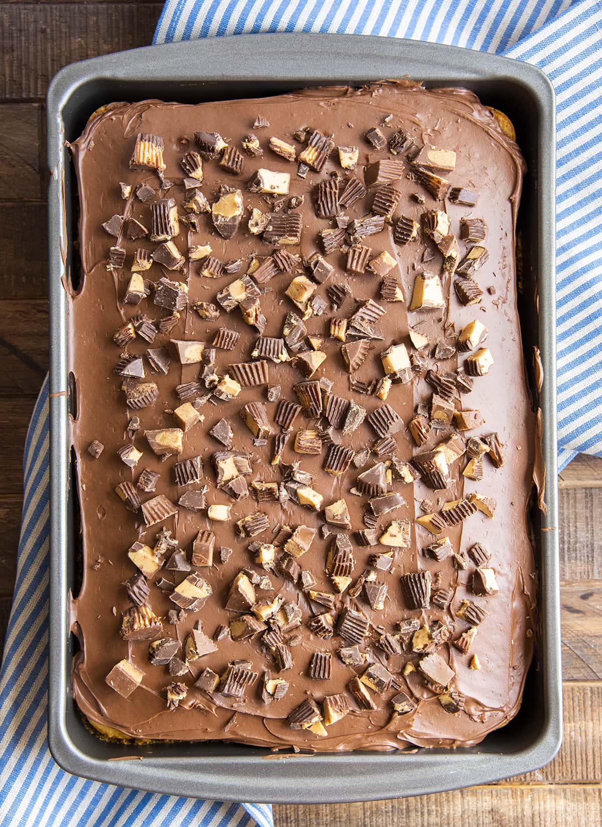 A cake in a 9x13 pan shot from above showing the chocolate frosting covered with chopped peanut butter cups over the top.