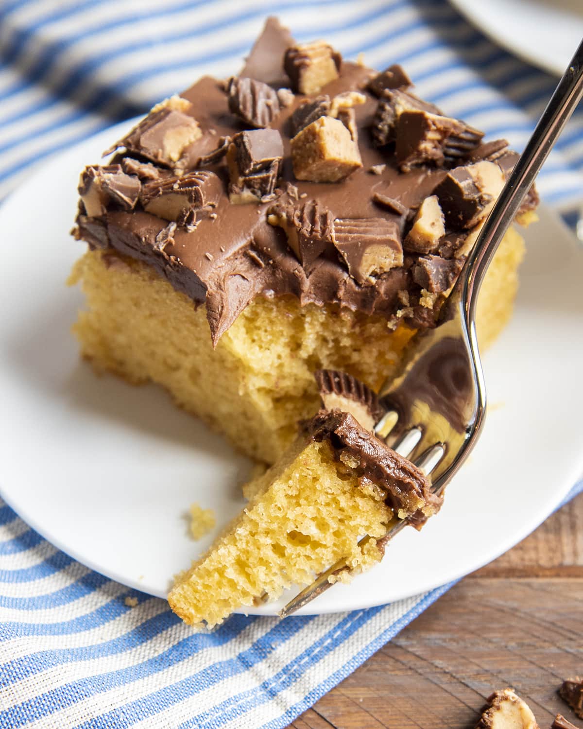 A piece of peanut butter cake with chocolate frosting on a plate.