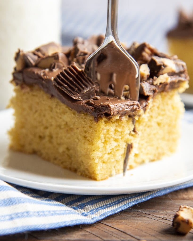 A piece of peanut butter cake with a cake mix topped with chocolate frosting and peanut butter cups. With a fork in the cake cutting out a bite.