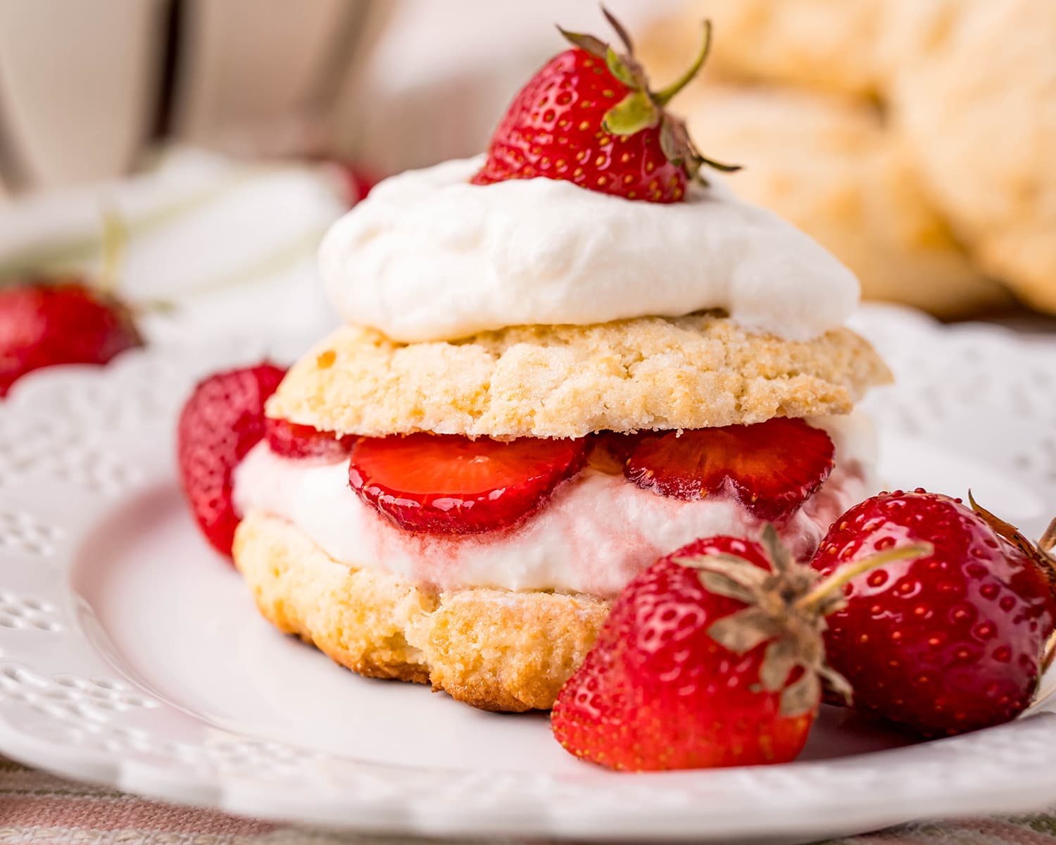A strawberry shortcake on a plate, with a sweet biscuit, whipped cream, and strawberries.