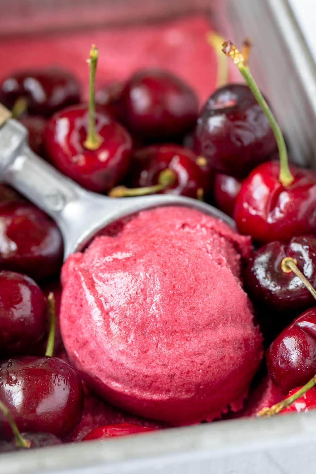 A scoop of cherry sorbet surrounded by fresh red cherries. 